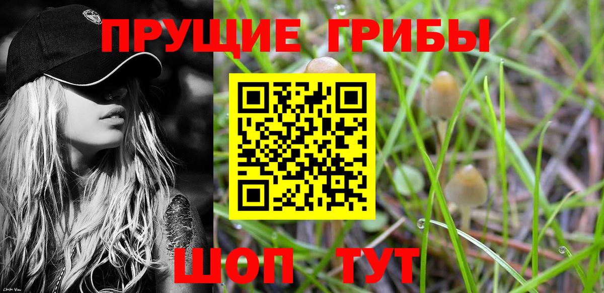 Майкоп  Псилоцибиновые грибы прущие грибы  наркошоп  Галлюциногенные грибы Magic Shrooms  Вход с VPN 